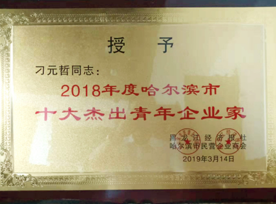 恭贺邦环球体育官网意甲业董事长刁元哲先生被评选为十大杰出企业家